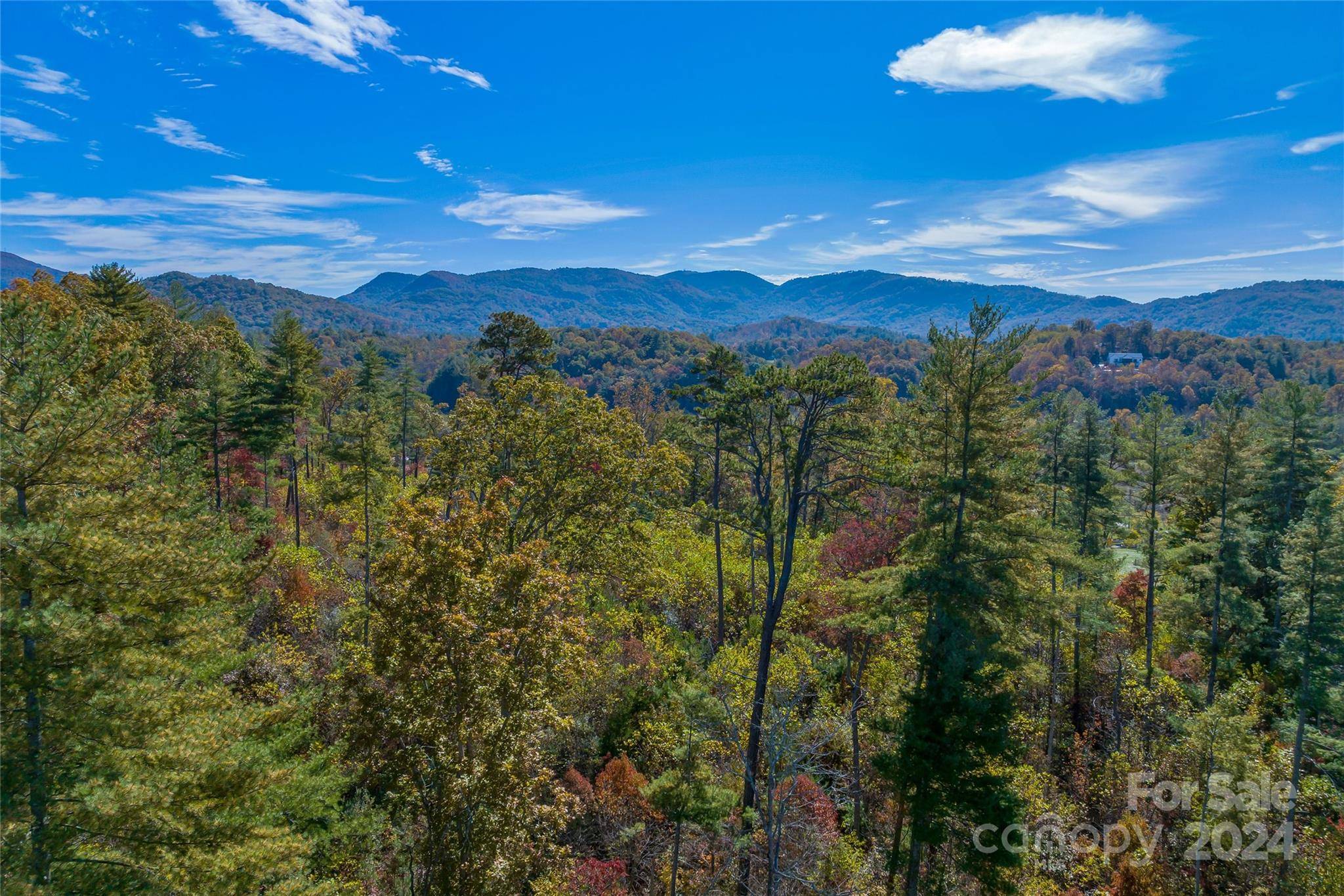 Fletcher, NC 28732,9999 Tract A Cane Creek RD