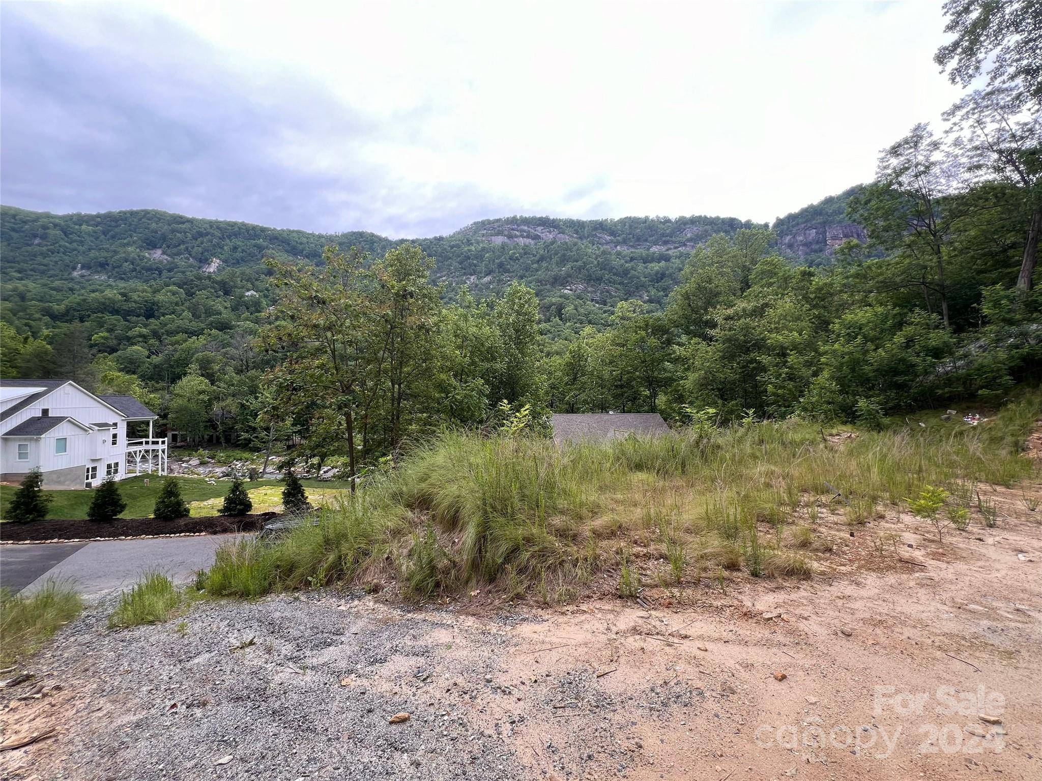 Chimney Rock, NC 28720,0 Fall Creek DR