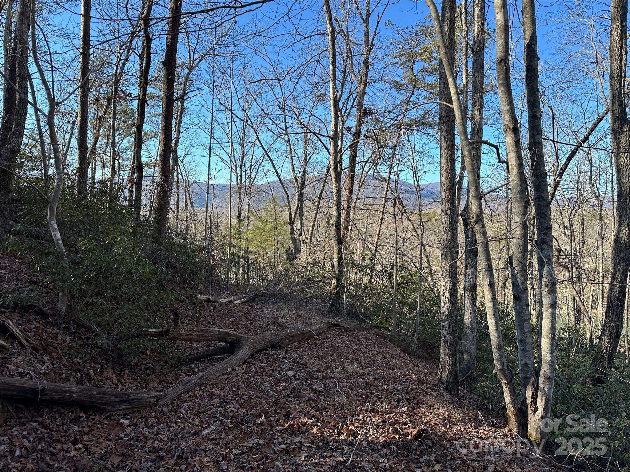 Mill Spring, NC 28756,Lot 62 Lake Adger Pkwy