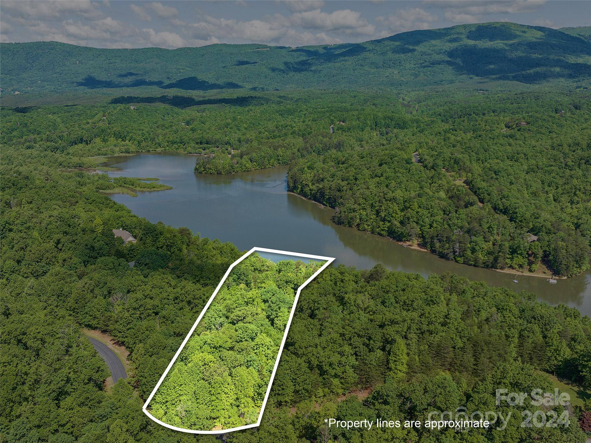 Mill Spring, NC 28756,Lot 62 Lake Adger Pkwy