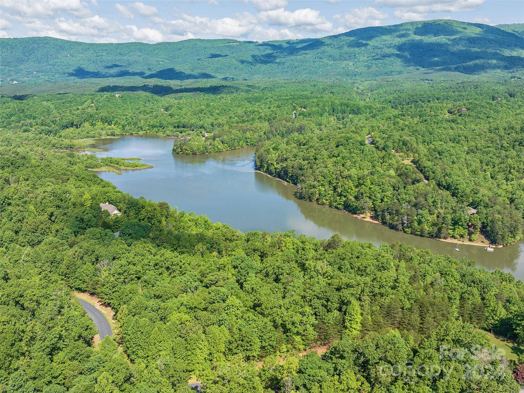 Mill Spring, NC 28756,Lot 62 Lake Adger Pkwy