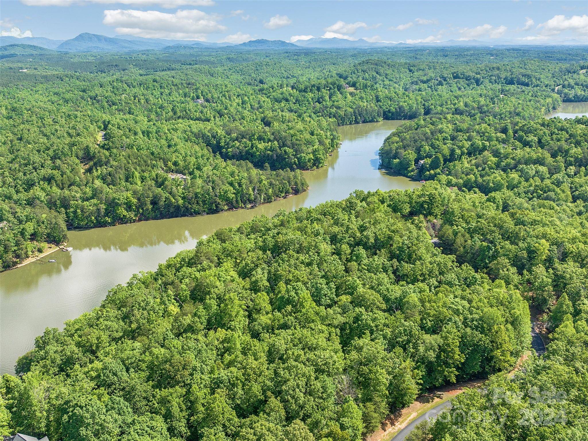 Mill Spring, NC 28756,Lot 62 Lake Adger Pkwy