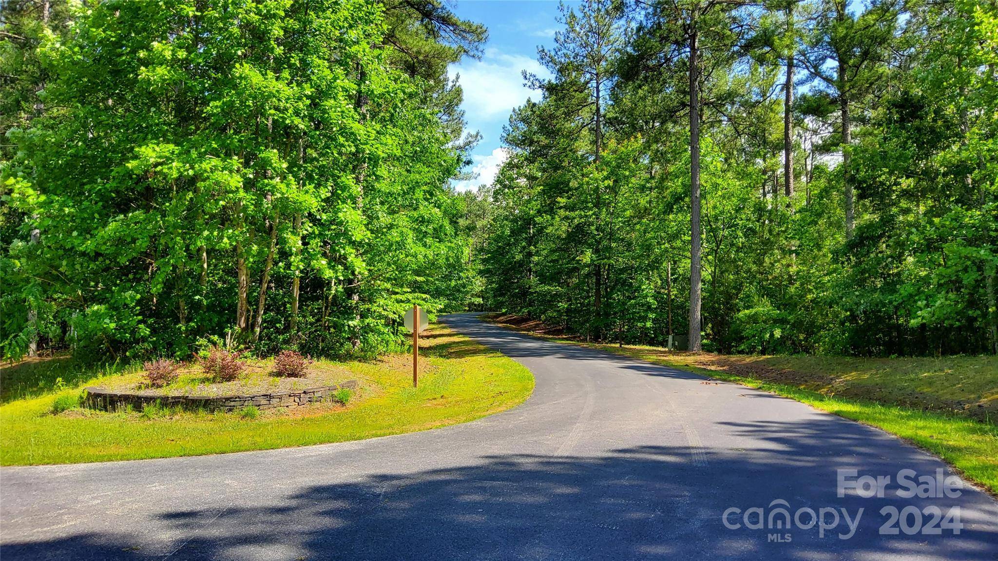 Mill Spring, NC 28756,0 Loblolly LN #24