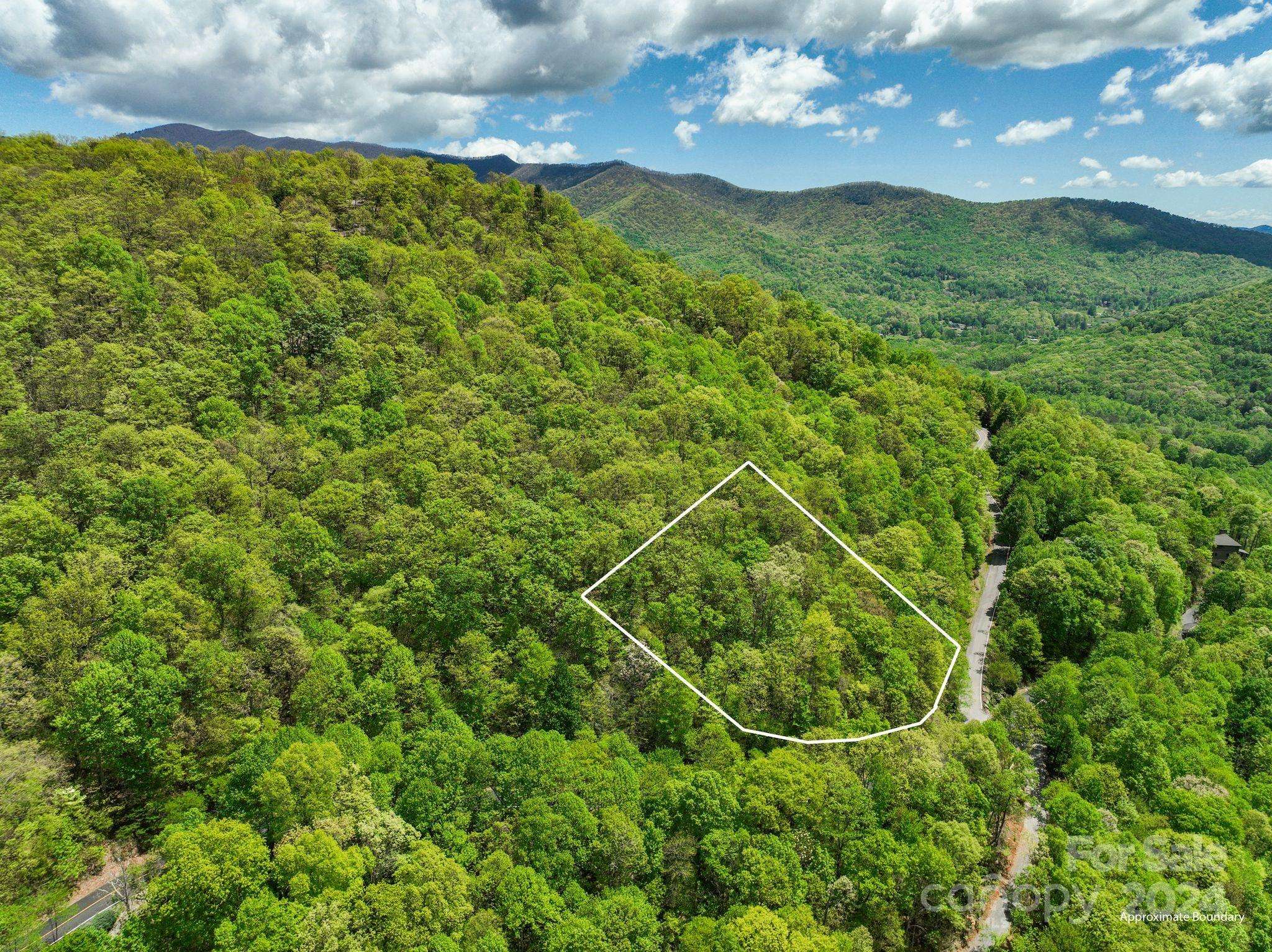 Black Mountain, NC 28711,99999 Winding Poplar RD #909