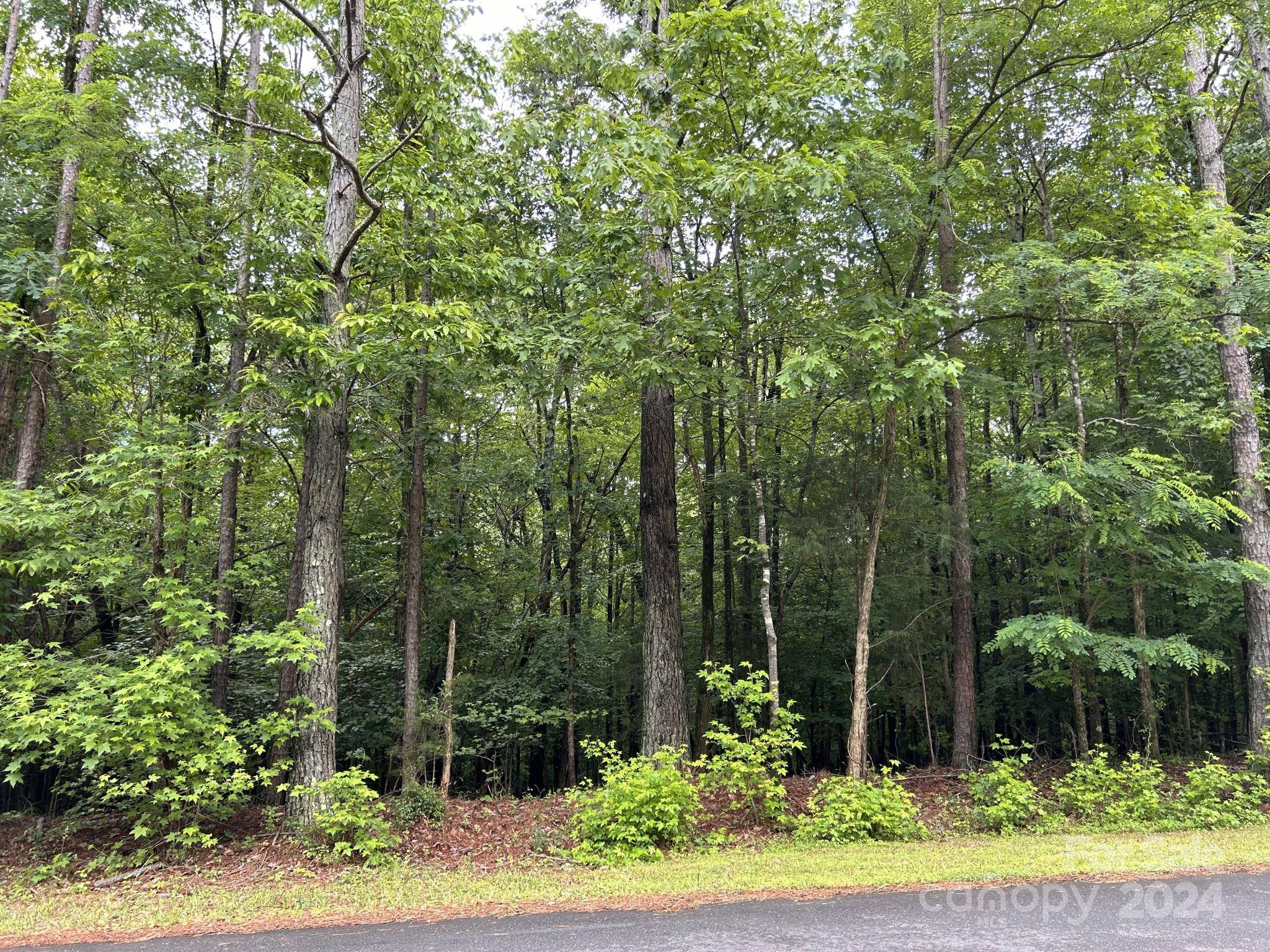 Waxhaw, NC 28173,0 Ski Trail LN