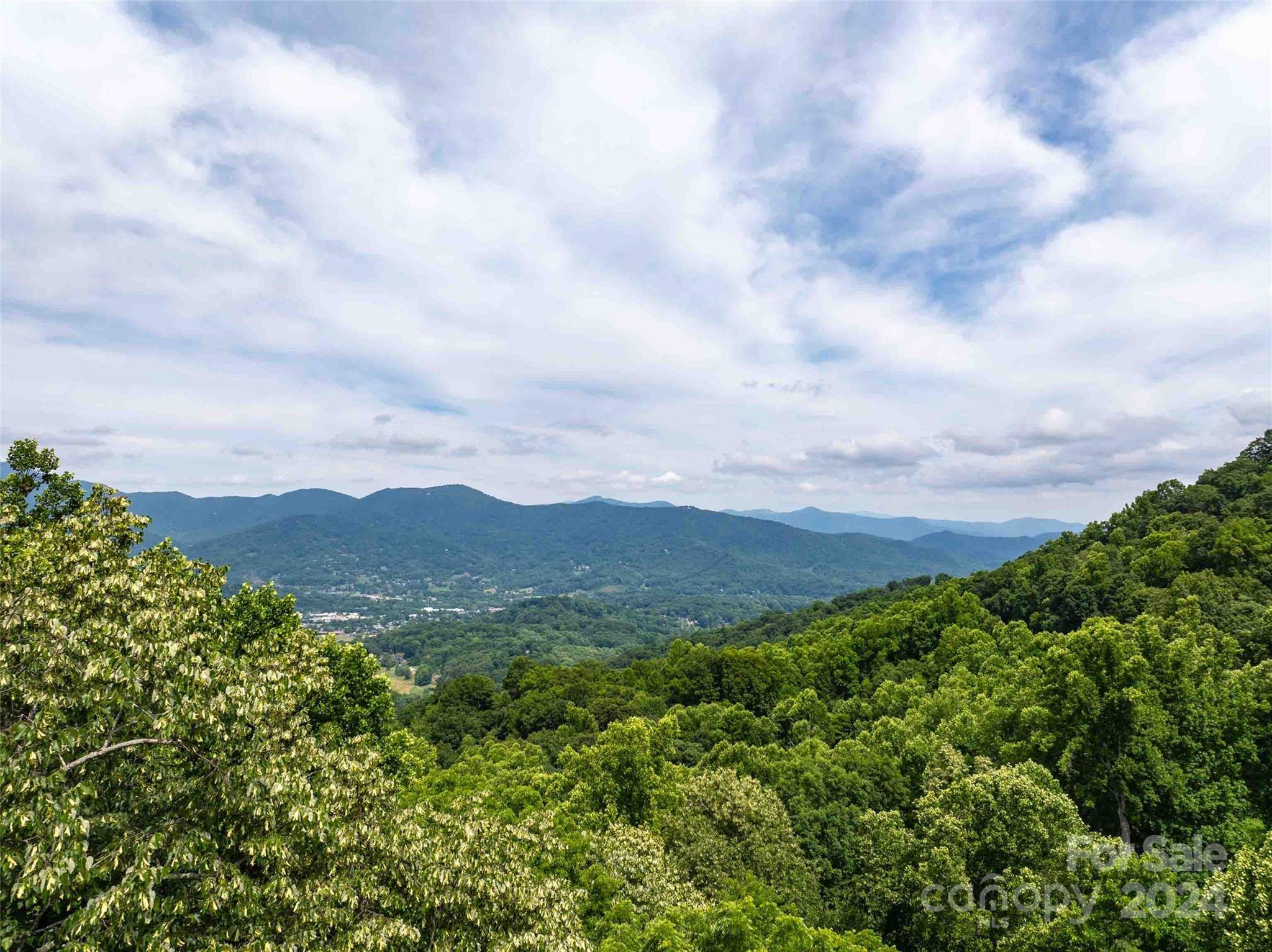 Waynesville, NC 28786,9999 Weatherwatch LN #5