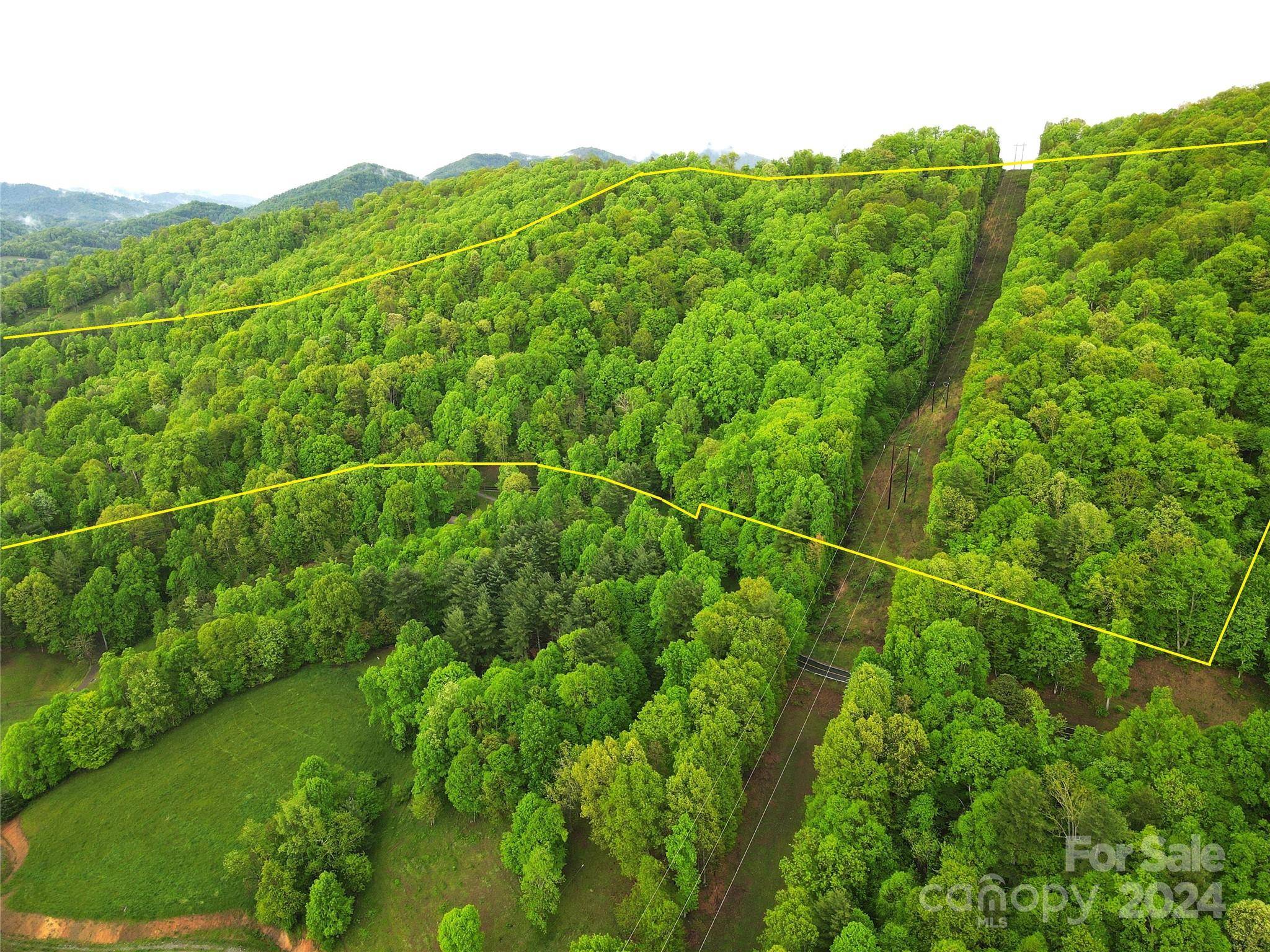 Burnsville, NC 28714,000 Mountain Air DR