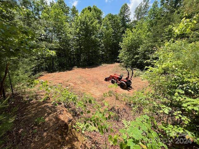 Almond, NC 28702,Lot 69 Musket RD