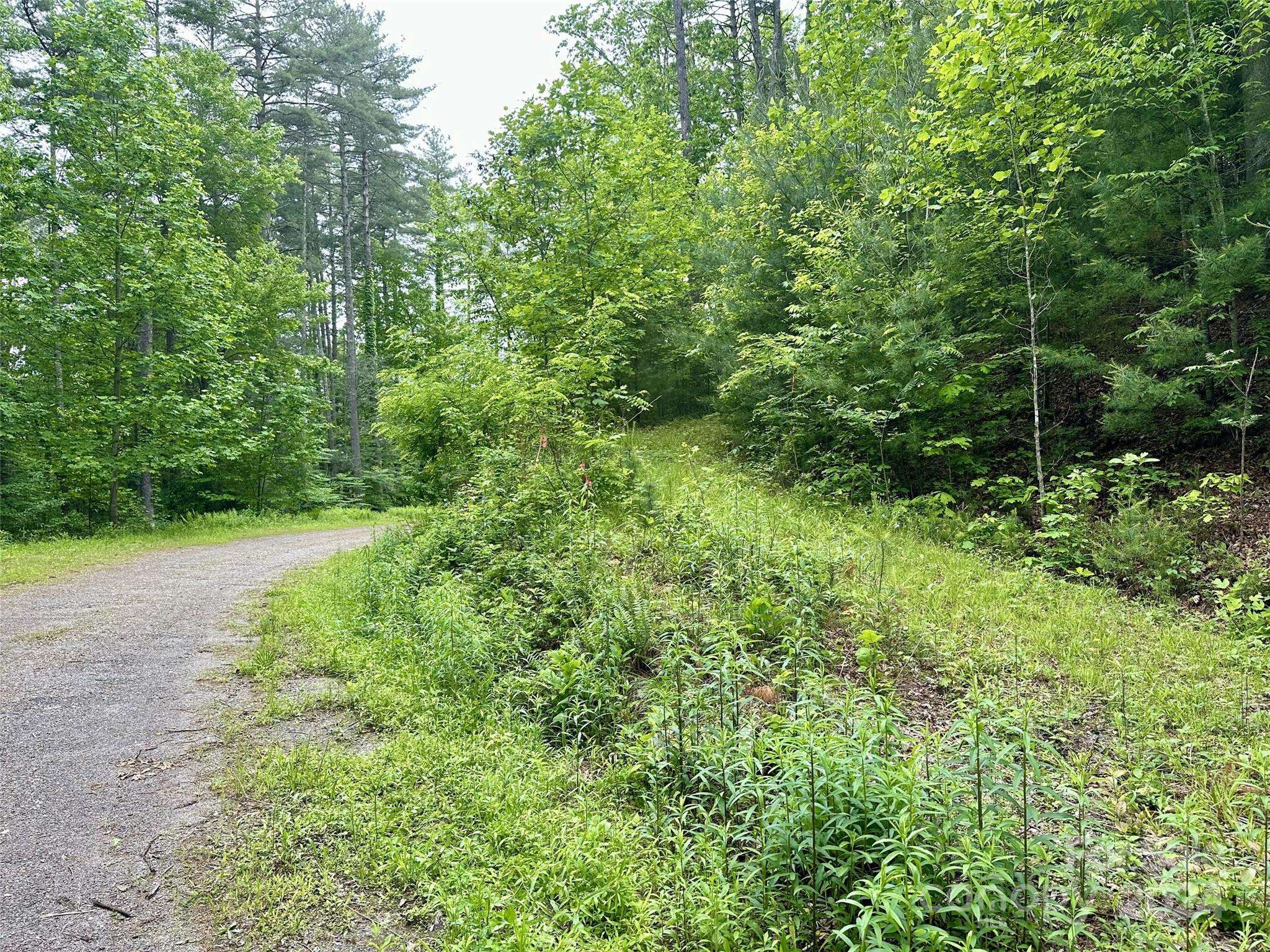 Clyde, NC 28721,Lot 11 Wildlife DR