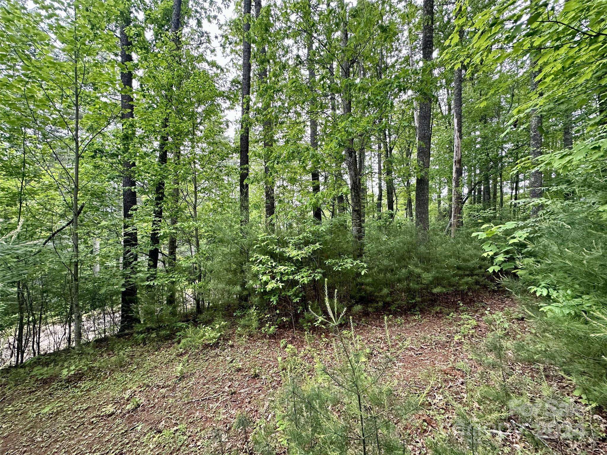 Clyde, NC 28721,Lot 11 Wildlife DR