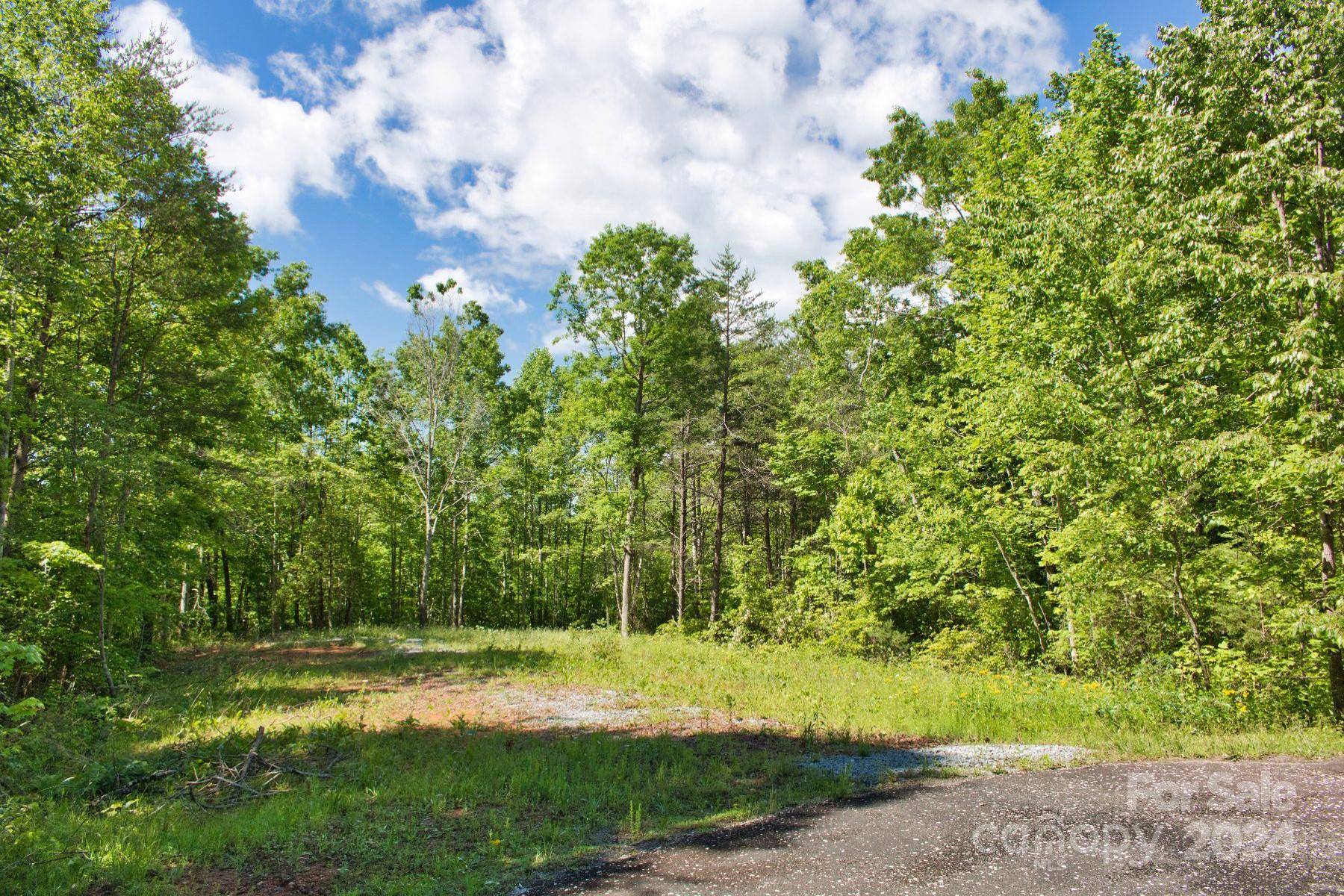 Lake Lure, NC 28746,0 Juniper Creek DR #28