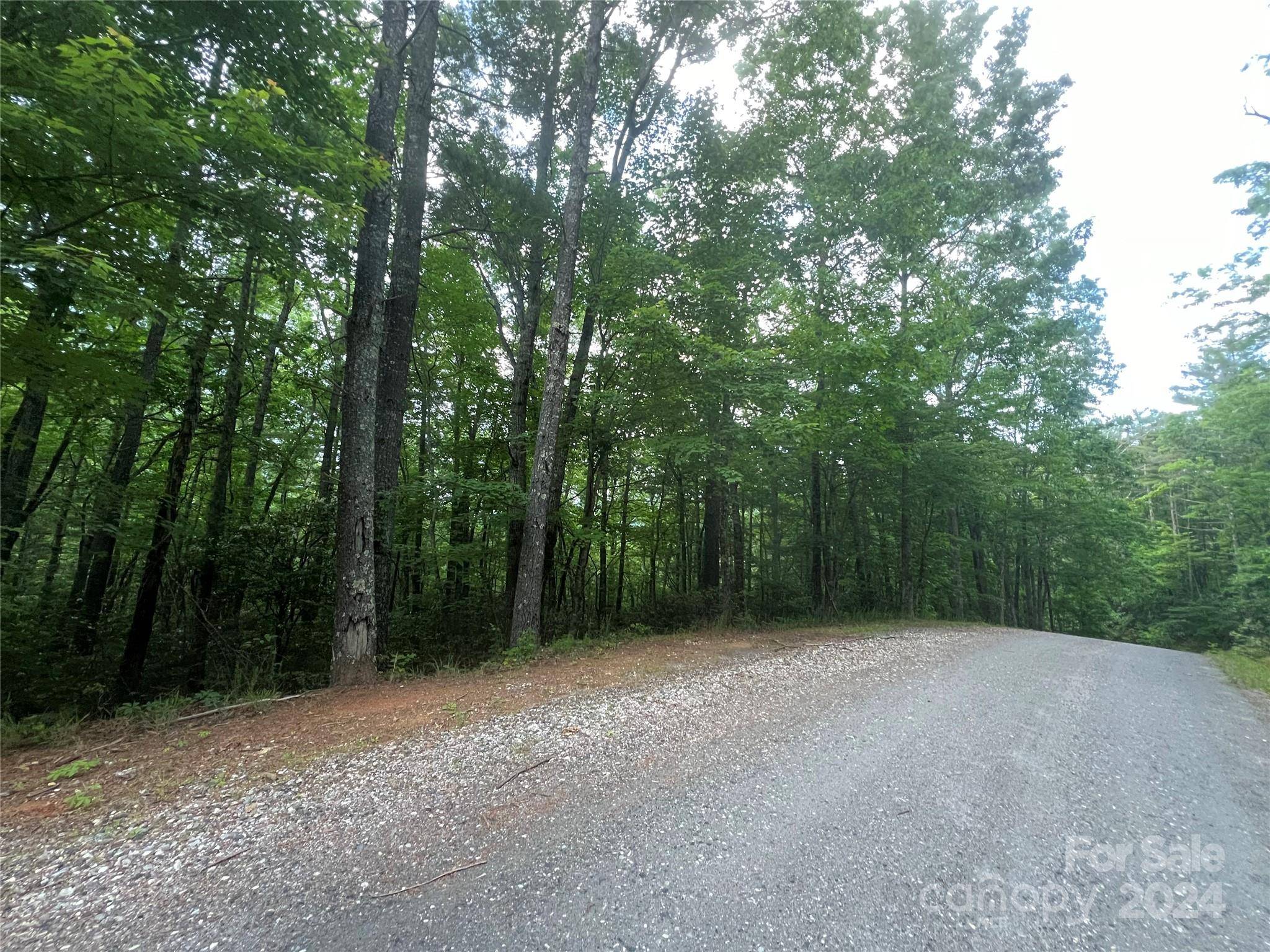 Marion, NC 28752,V/L Fox Ridge TRL