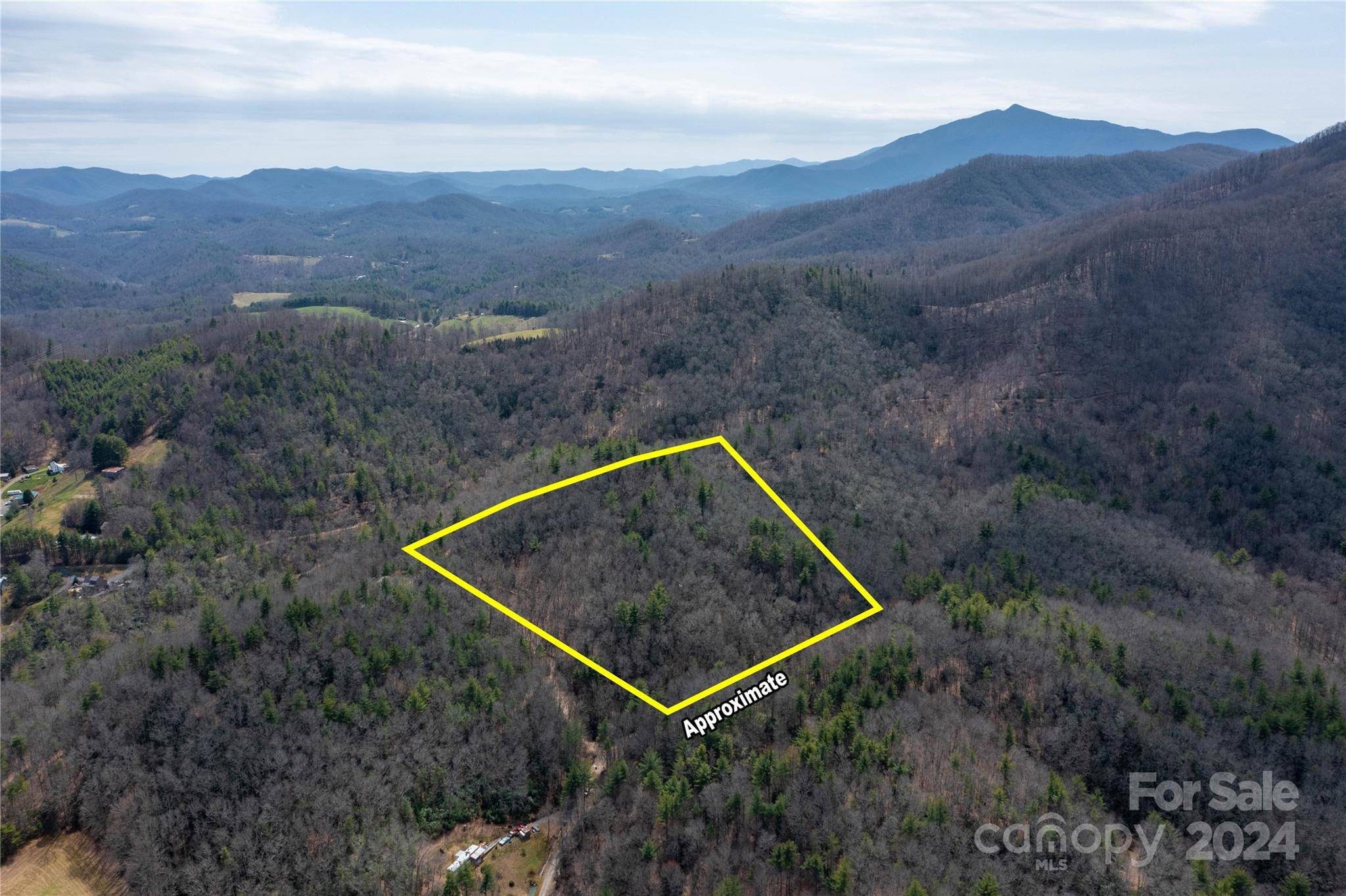 Burnsville, NC 28714,000 Bulldog LN