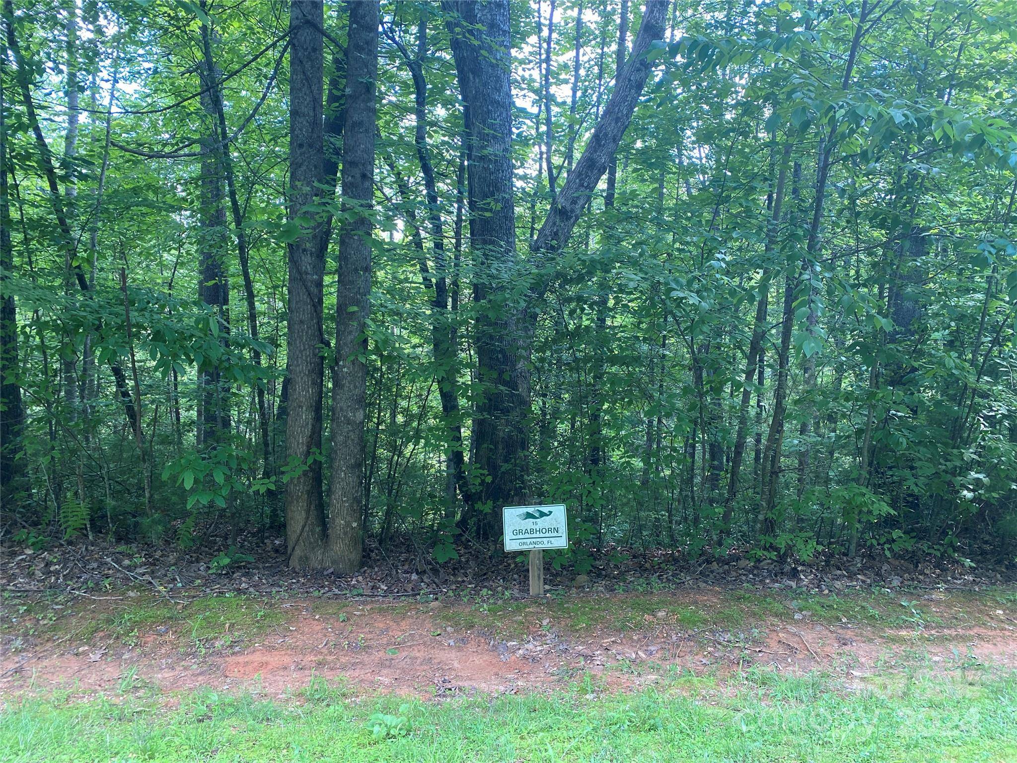 Lenoir, NC 28645,Lot 15 Walnut Ridge DR