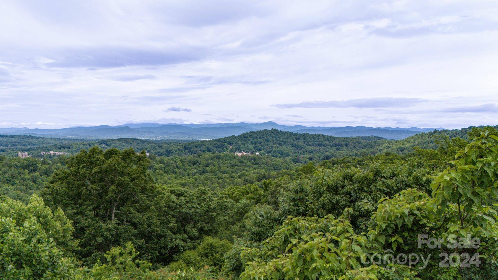 Hendersonville, NC 28791,0000 Scenic View DR