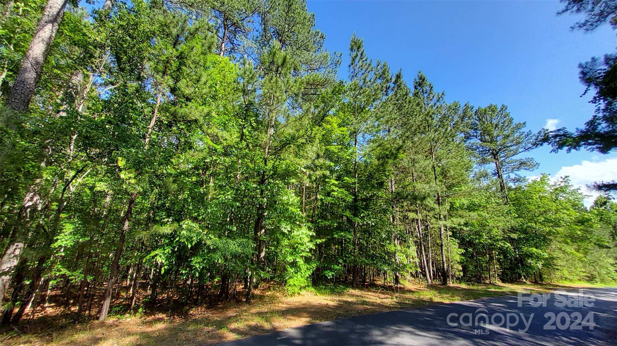 Mill Spring, NC 28756,000 Loblolly LN #22