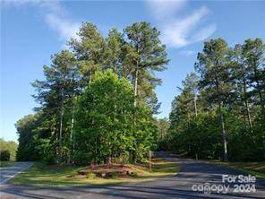 Mill Spring, NC 28756,000 Loblolly LN #22