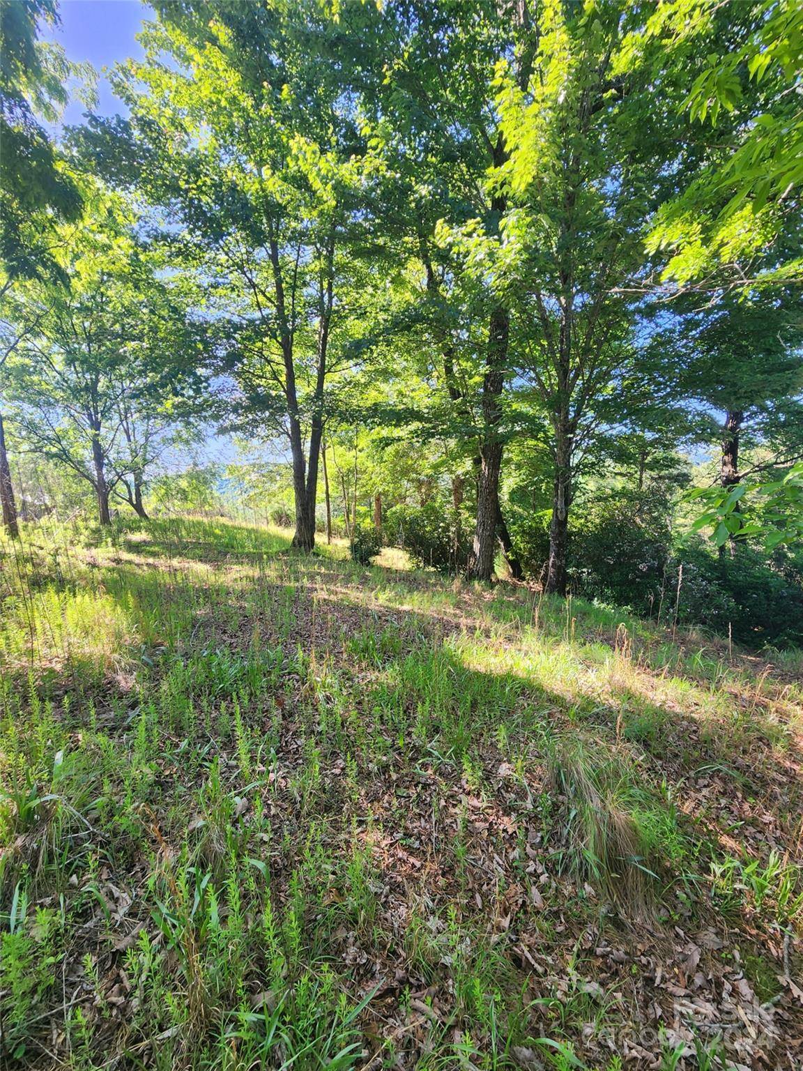Horse Shoe, NC 28742,190 Stonefly DR #157