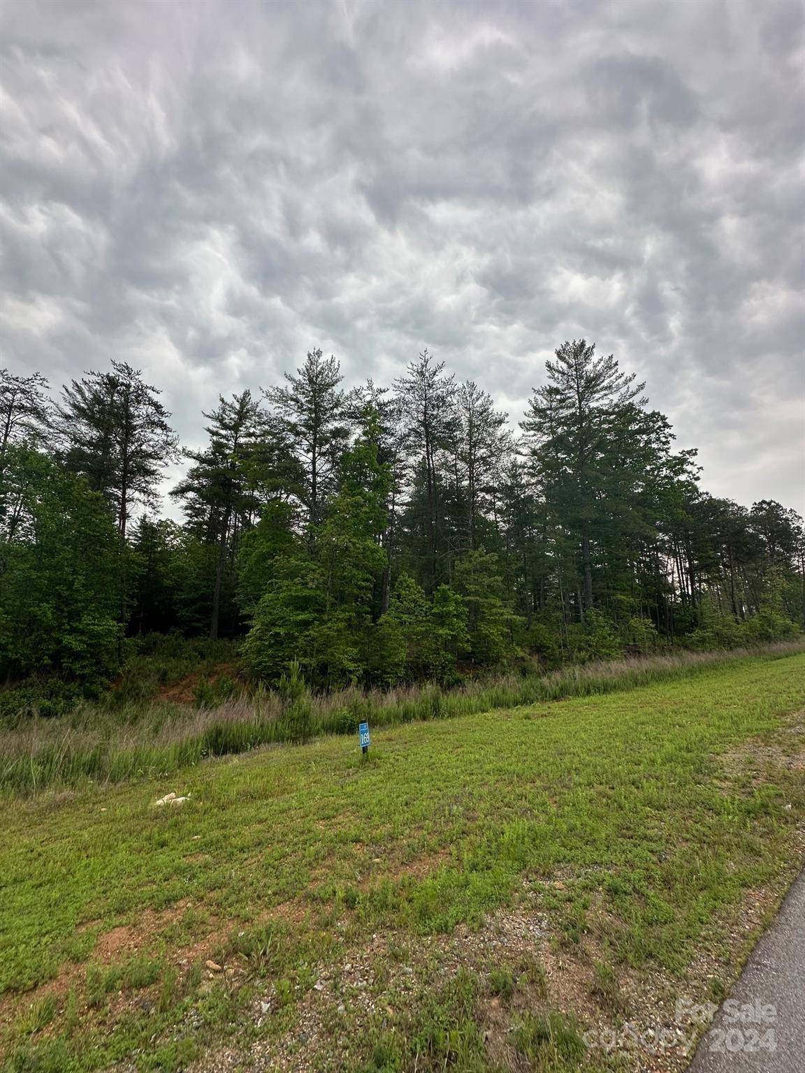 Granite Falls, NC 28630,000 Scenic LN #169