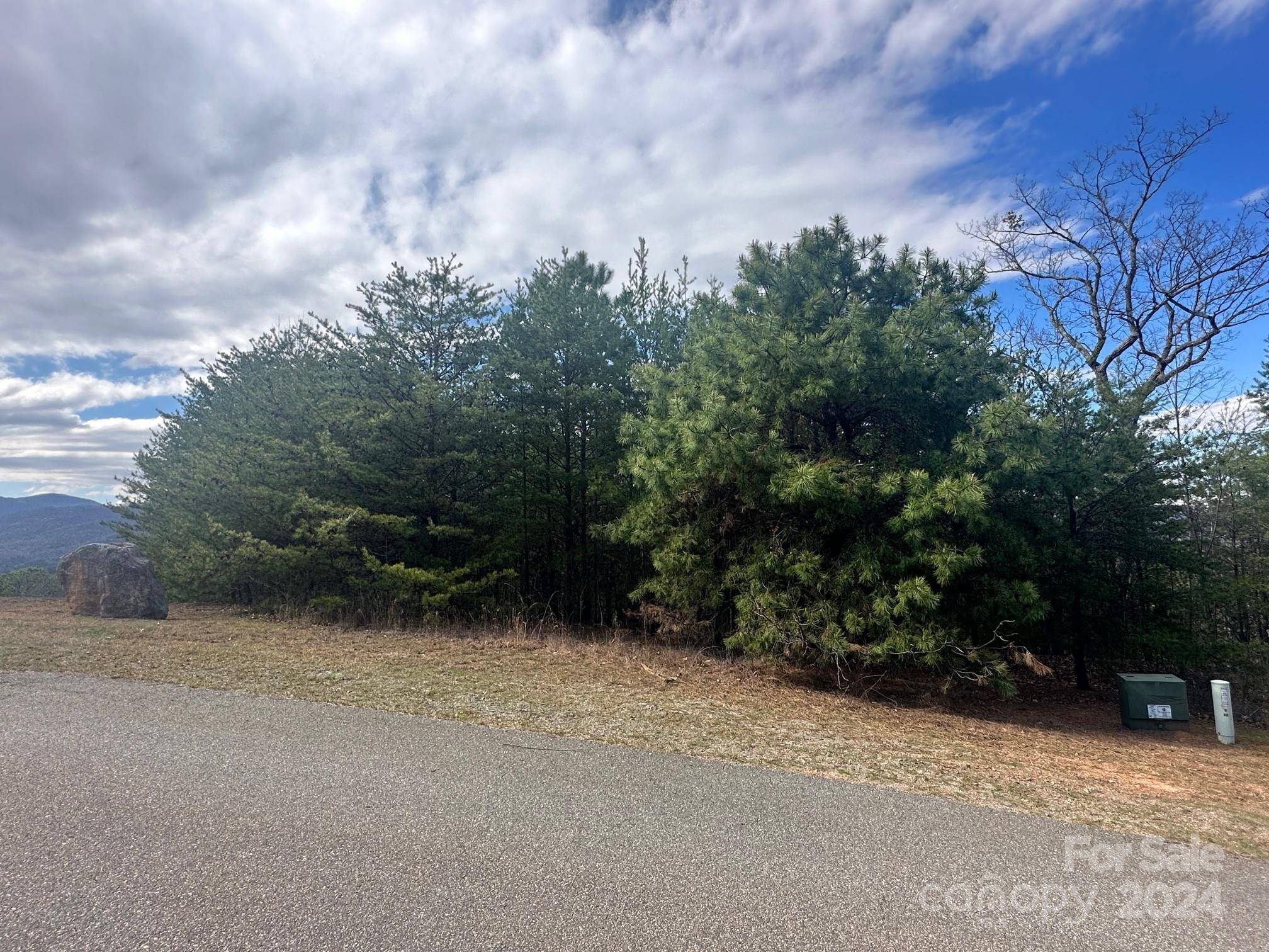 Lake Lure, NC 28746,0000 Boulder RDG