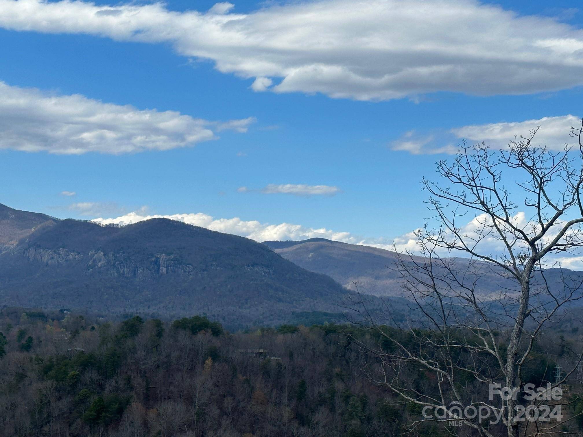 Lake Lure, NC 28746,0000 Boulder RDG