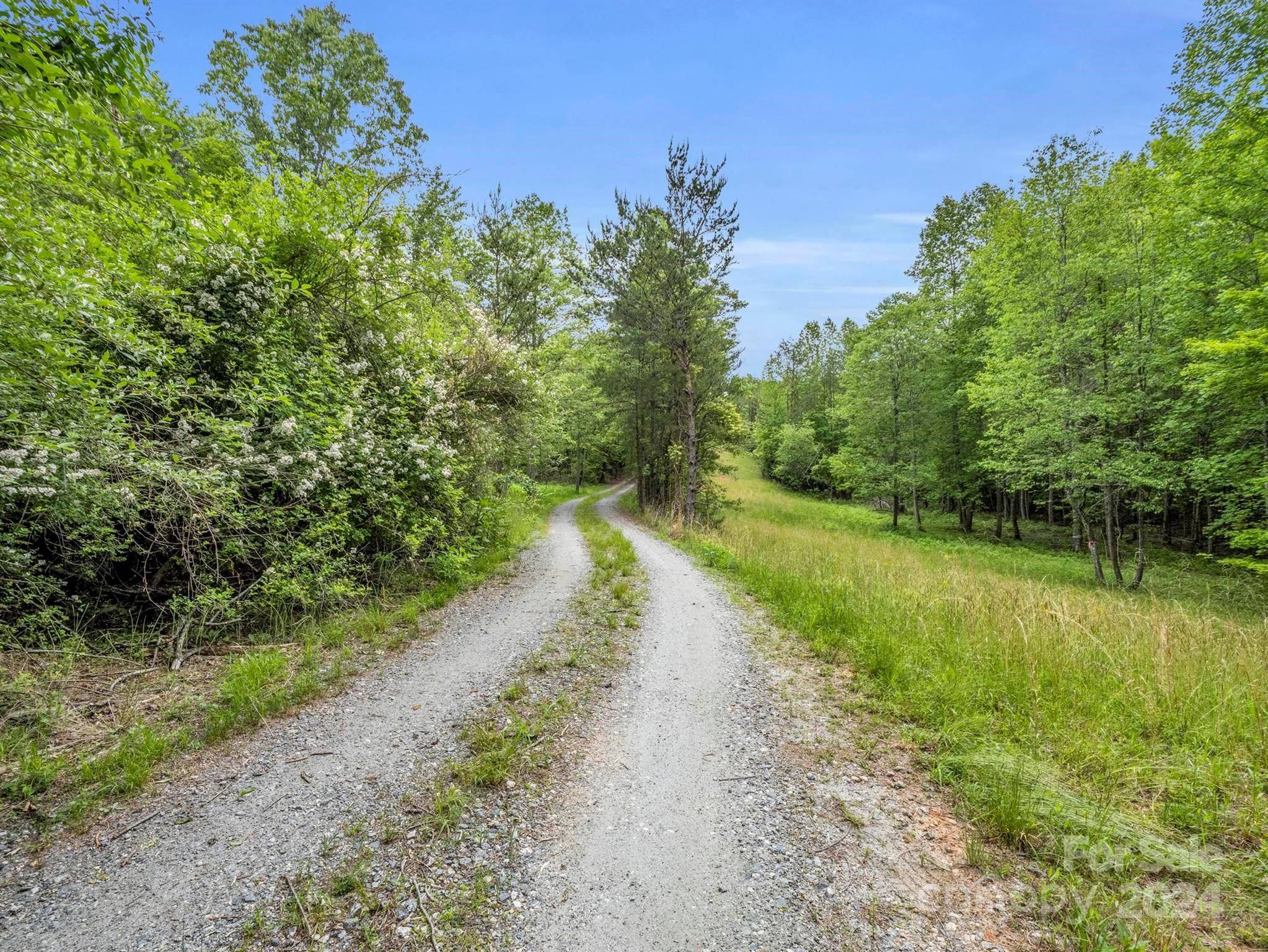 Mill Spring, NC 28756,000 Henry Ruff RD #Lot 1