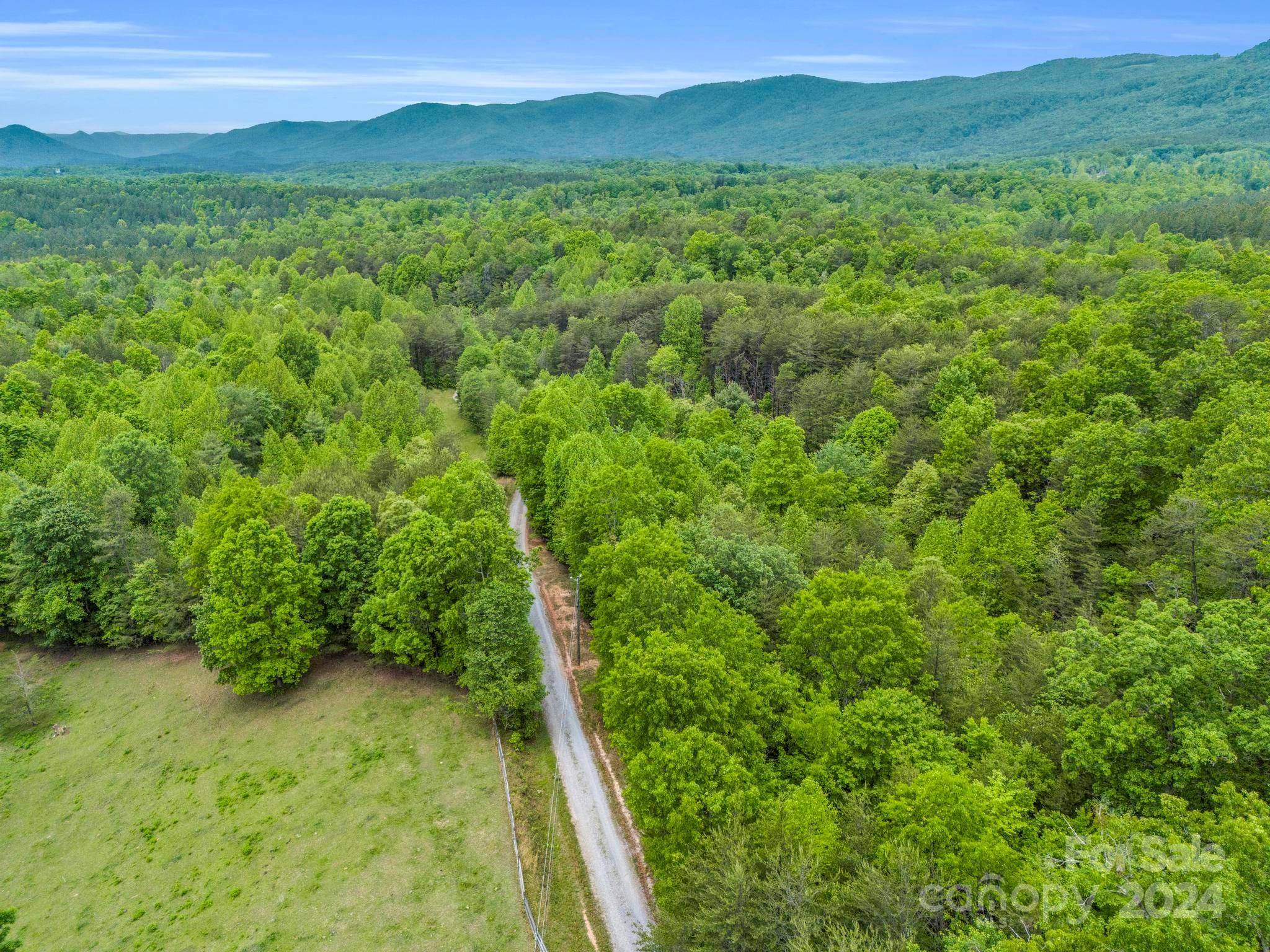 Mill Spring, NC 28756,000 Henry Ruff RD #Lot 1