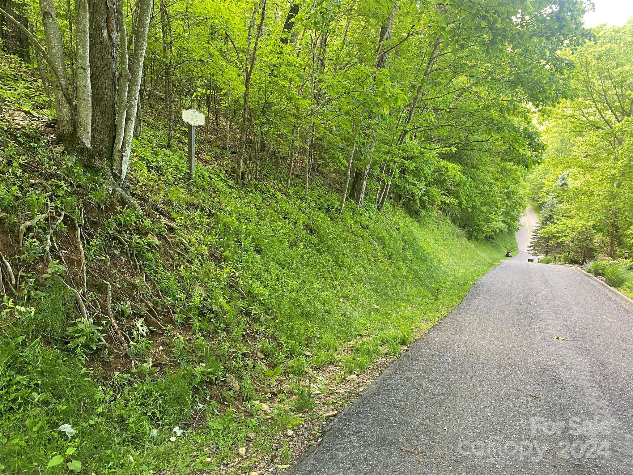 Burnsville, NC 28714,Lot 18 Cliffs Edge DR #18