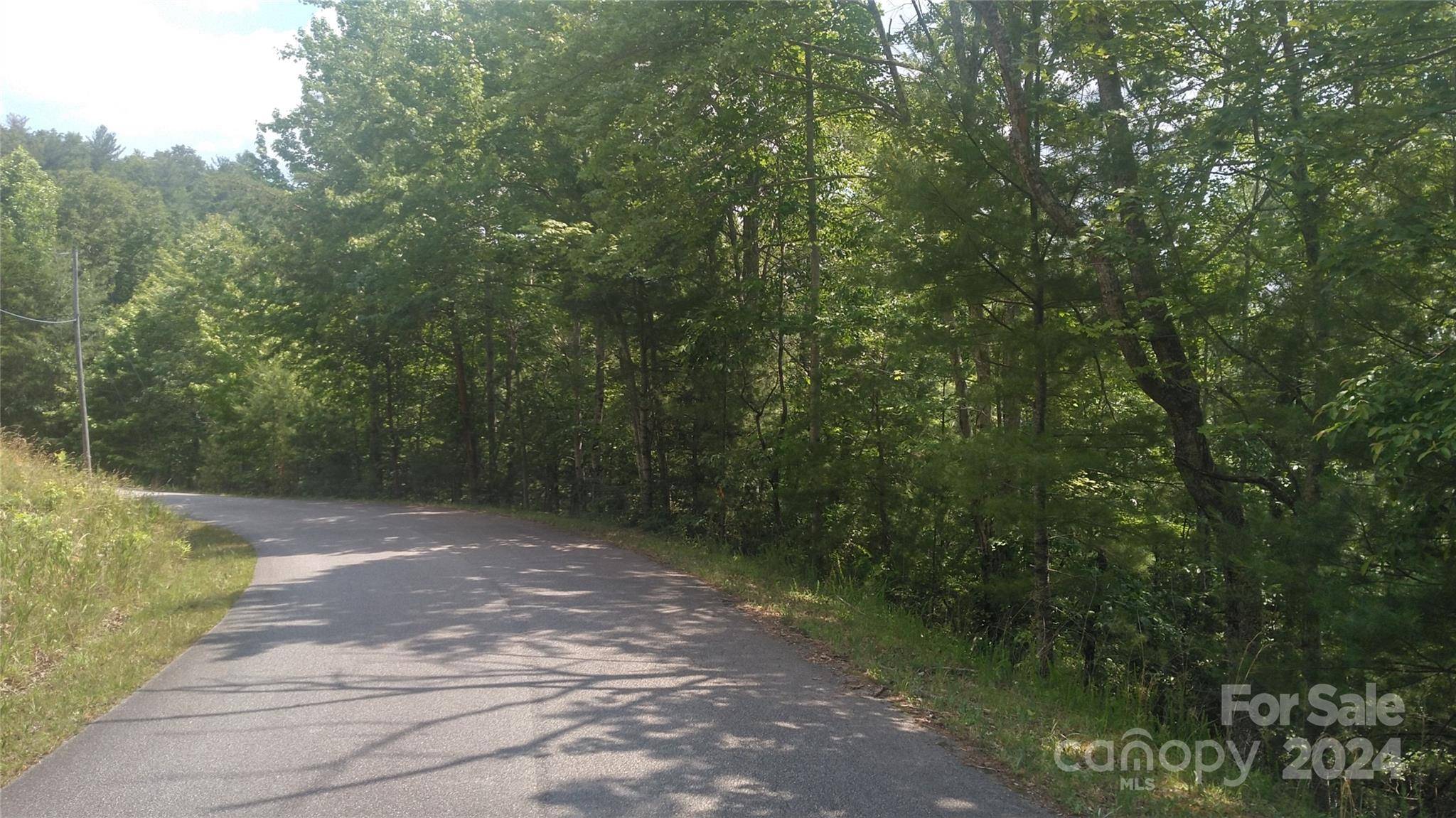 Marion, NC 28752,Lot 2F Seminole PATH