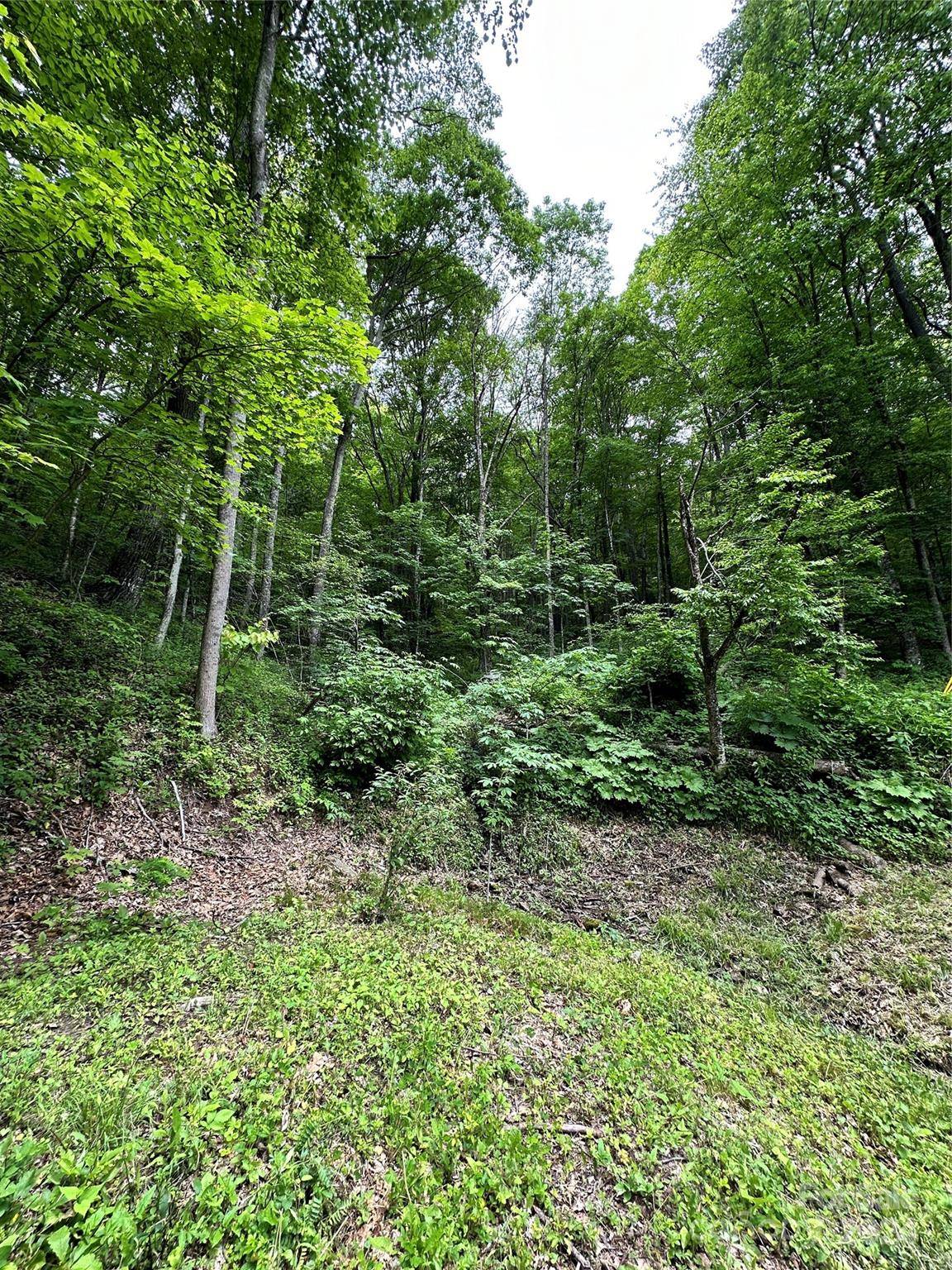 Maggie Valley, NC 28751,0 Laurel Ridge RD
