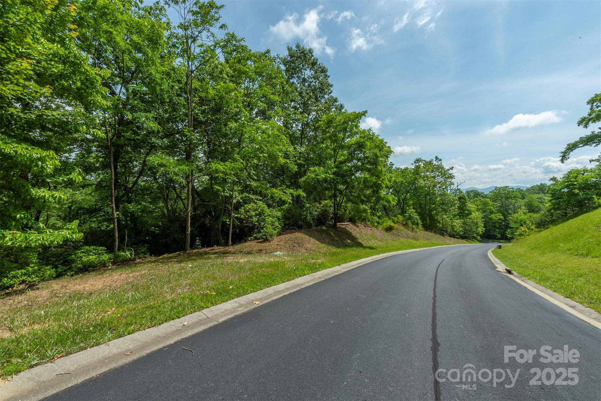 Horse Shoe, NC 28742,99999 May Fly LN #115