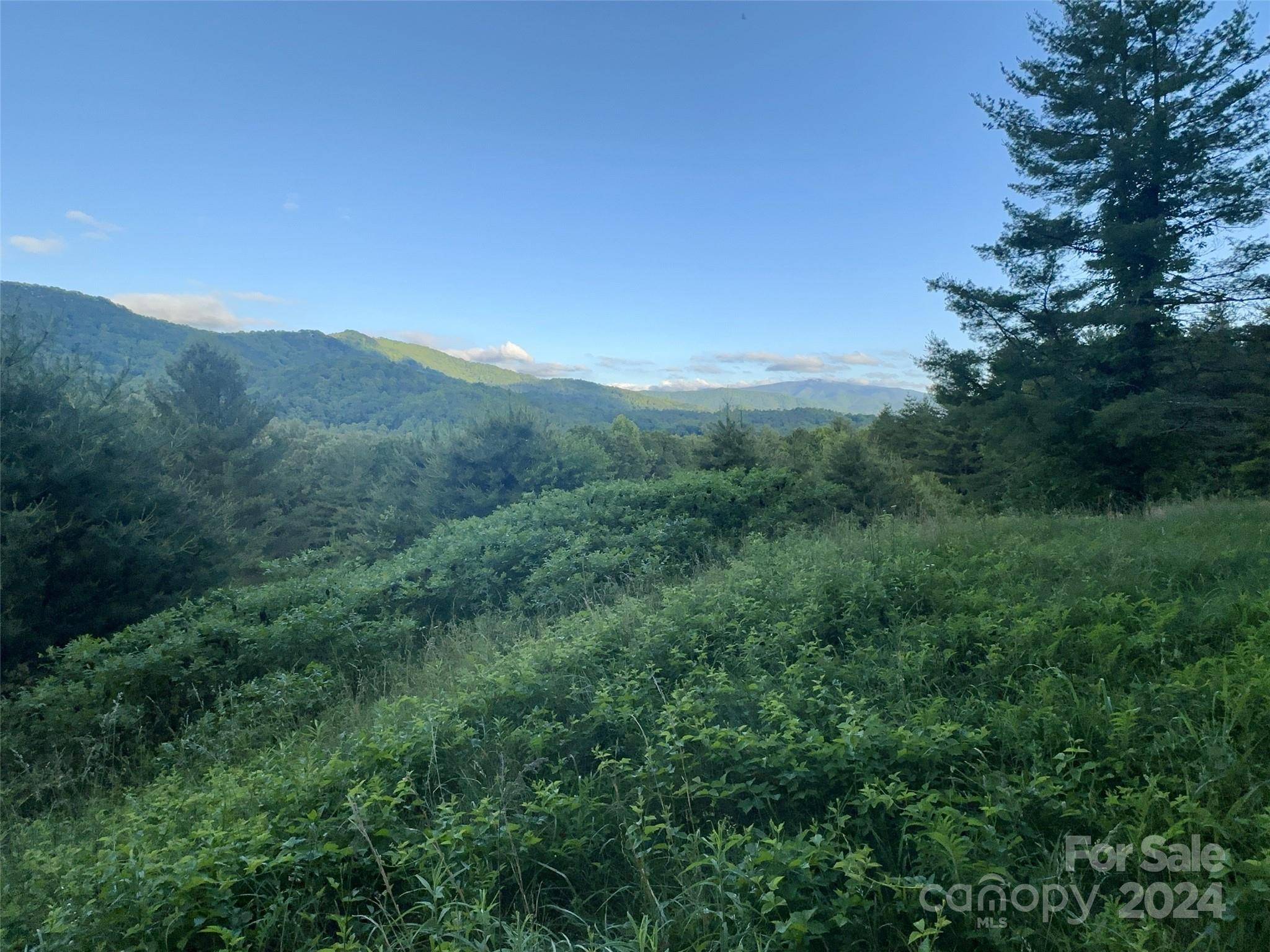 Clyde, NC 28721,Lot 22 Dream Valley DR