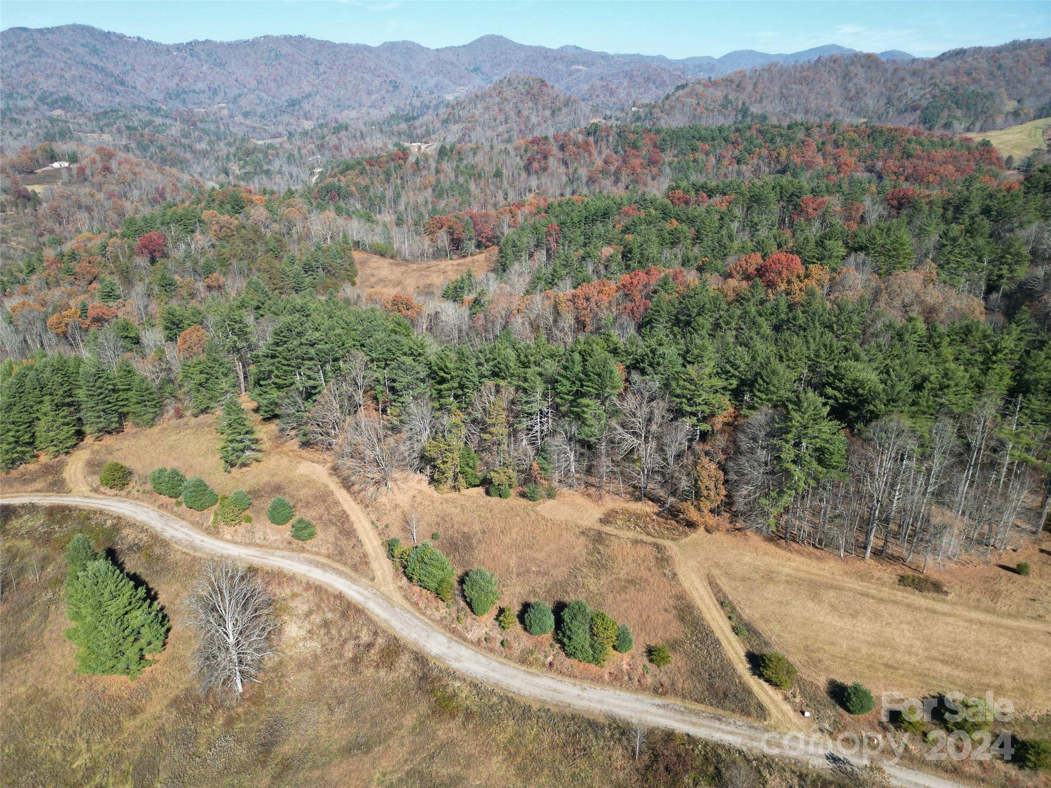 Clyde, NC 28721,Lot 22 Dream Valley DR
