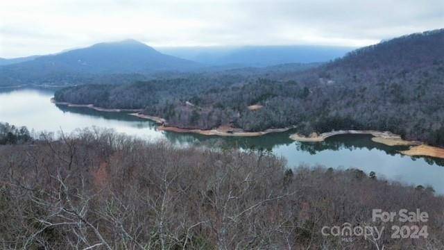 Lake Lure, NC 28746,0000 Hawks Nest TRL ##25