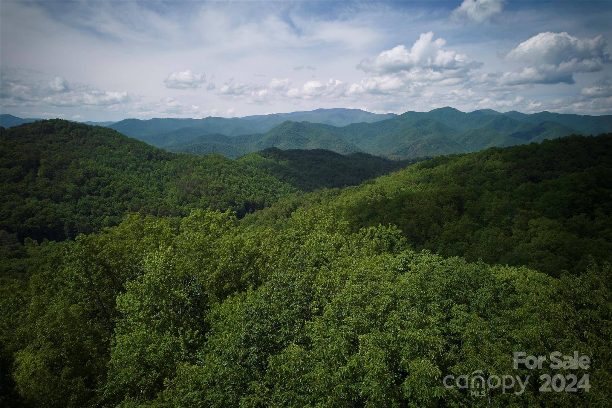 Bryson City, NC 28713,00 Black Forest DR