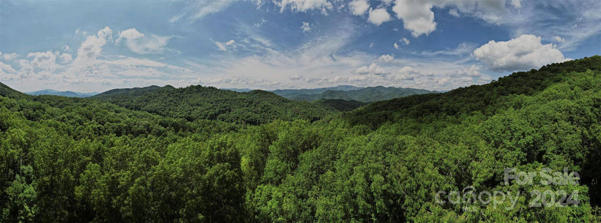 Bryson City, NC 28713,00 Black Forest DR