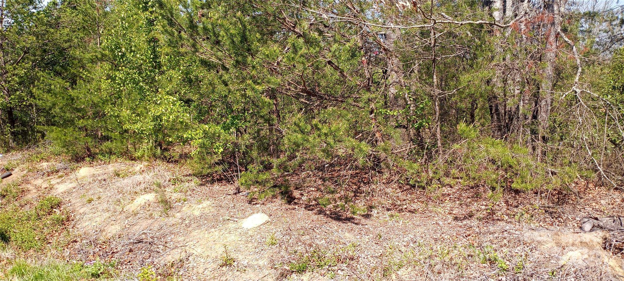 Nebo, NC 28761,TBD Biggerstaff LOOP #LOT  E