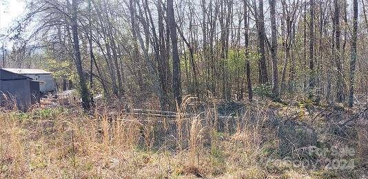 Nebo, NC 28761,TBD Biggerstaff LOOP #lot #14