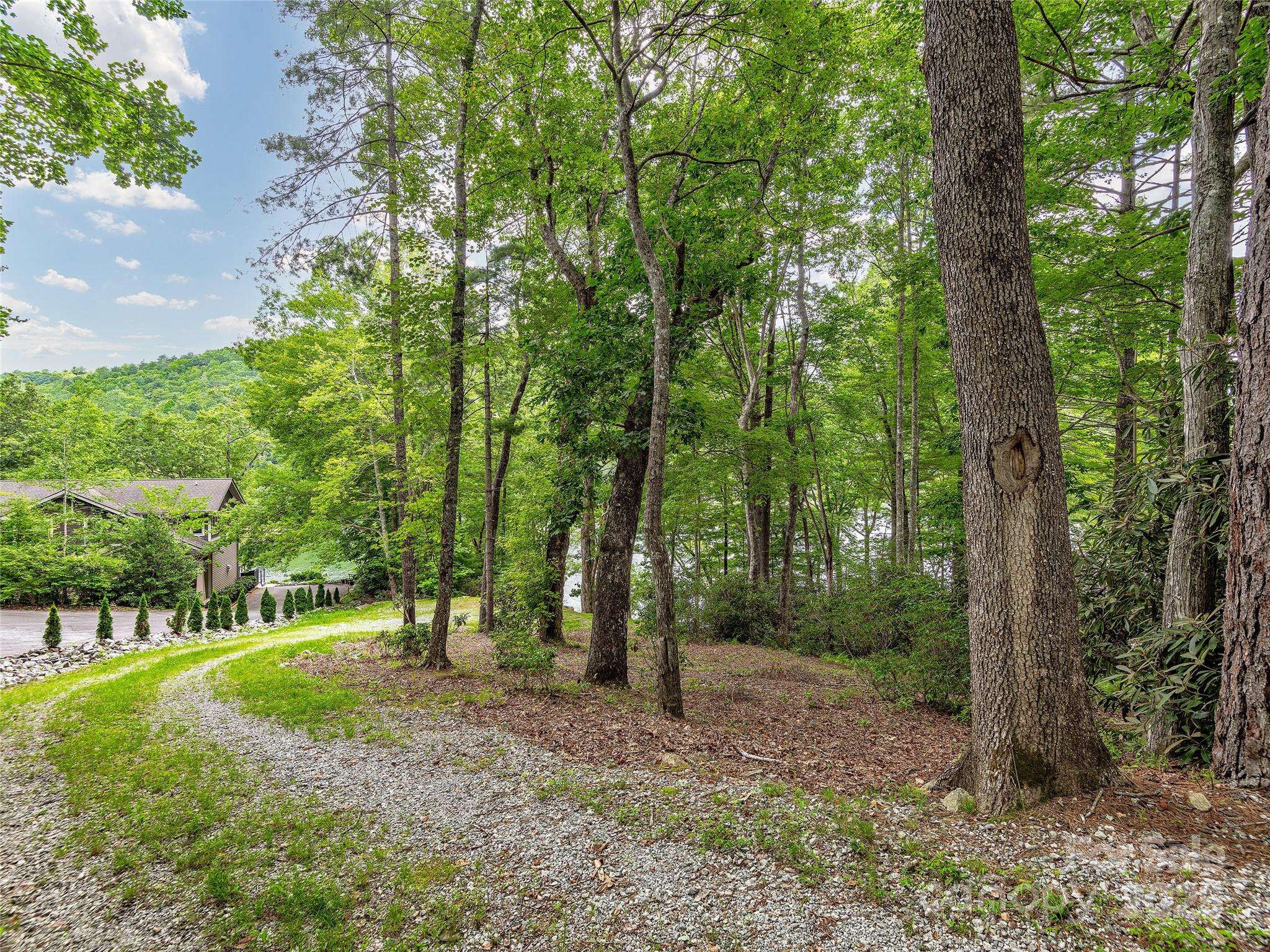 Lake Toxaway, NC 28747,Lot 102A Hwy 64 DR #102
