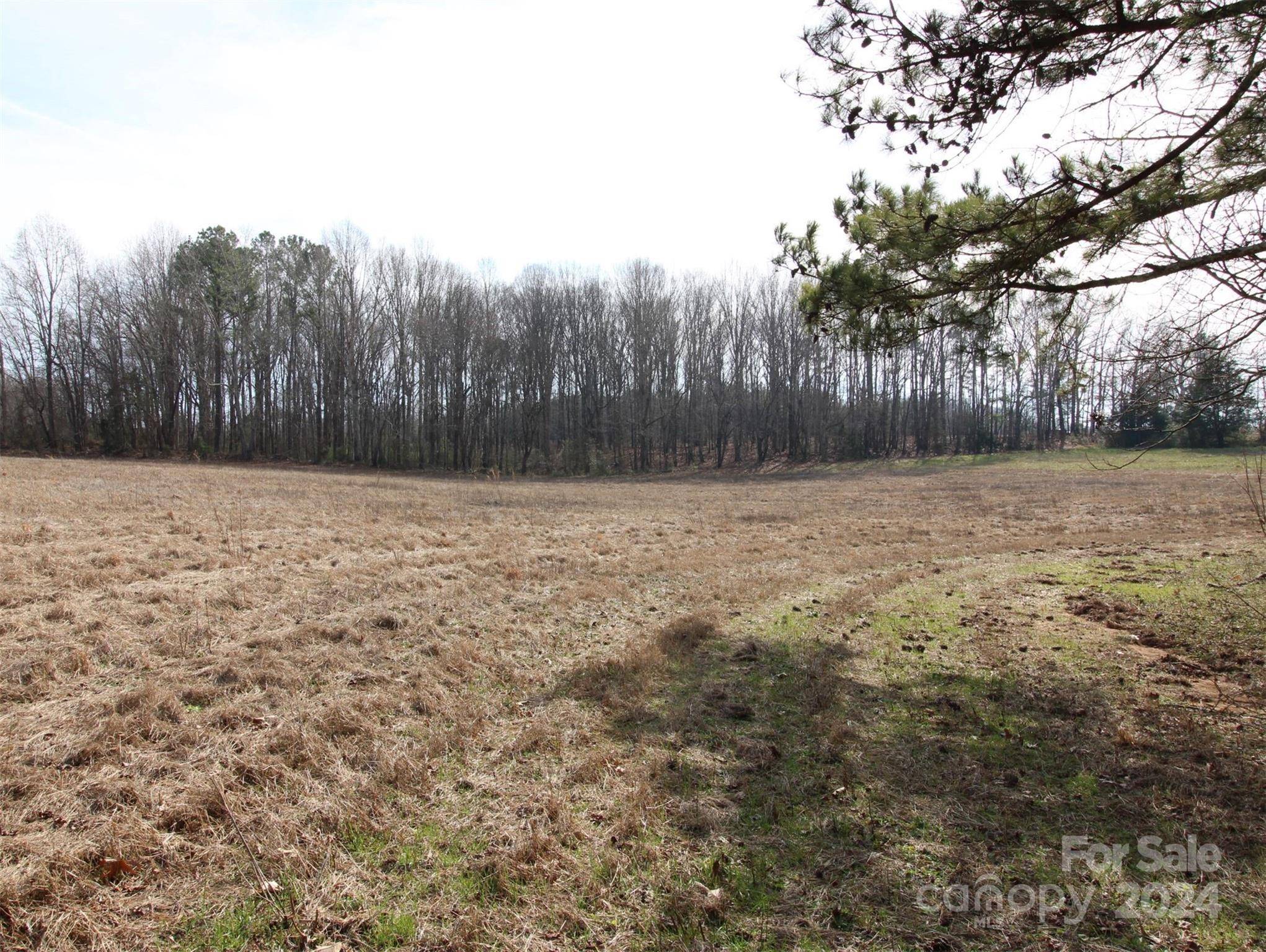 Chester, SC 29706,18+/-AC Quinn RD