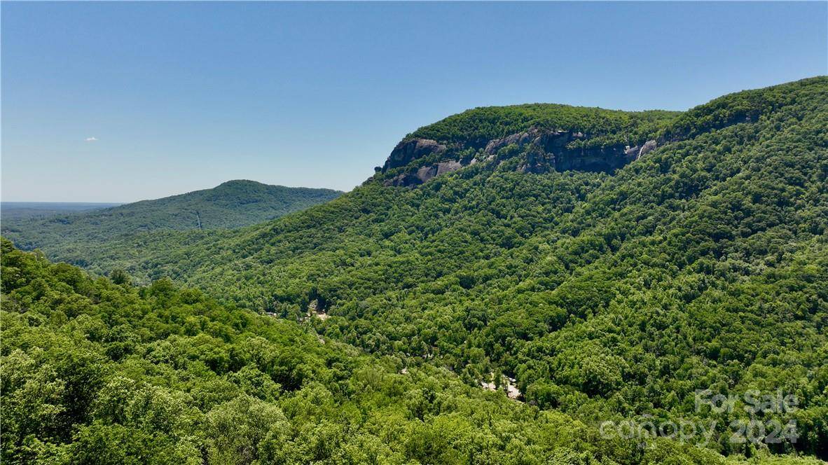 Chimney Rock, NC 28746,000 Cascada Vista DR #20&21