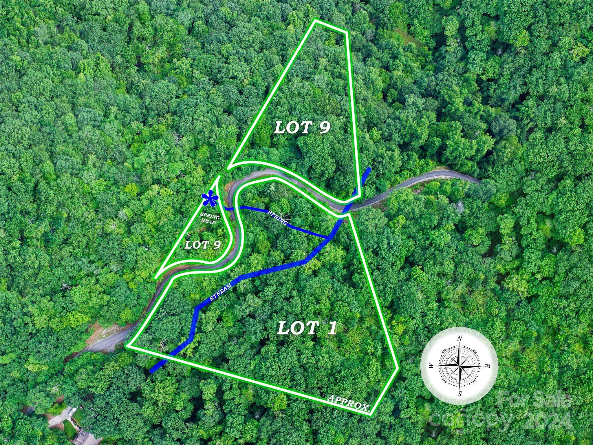 Hendersonville, NC 28739,0000 Winterview TRL #1 & 9