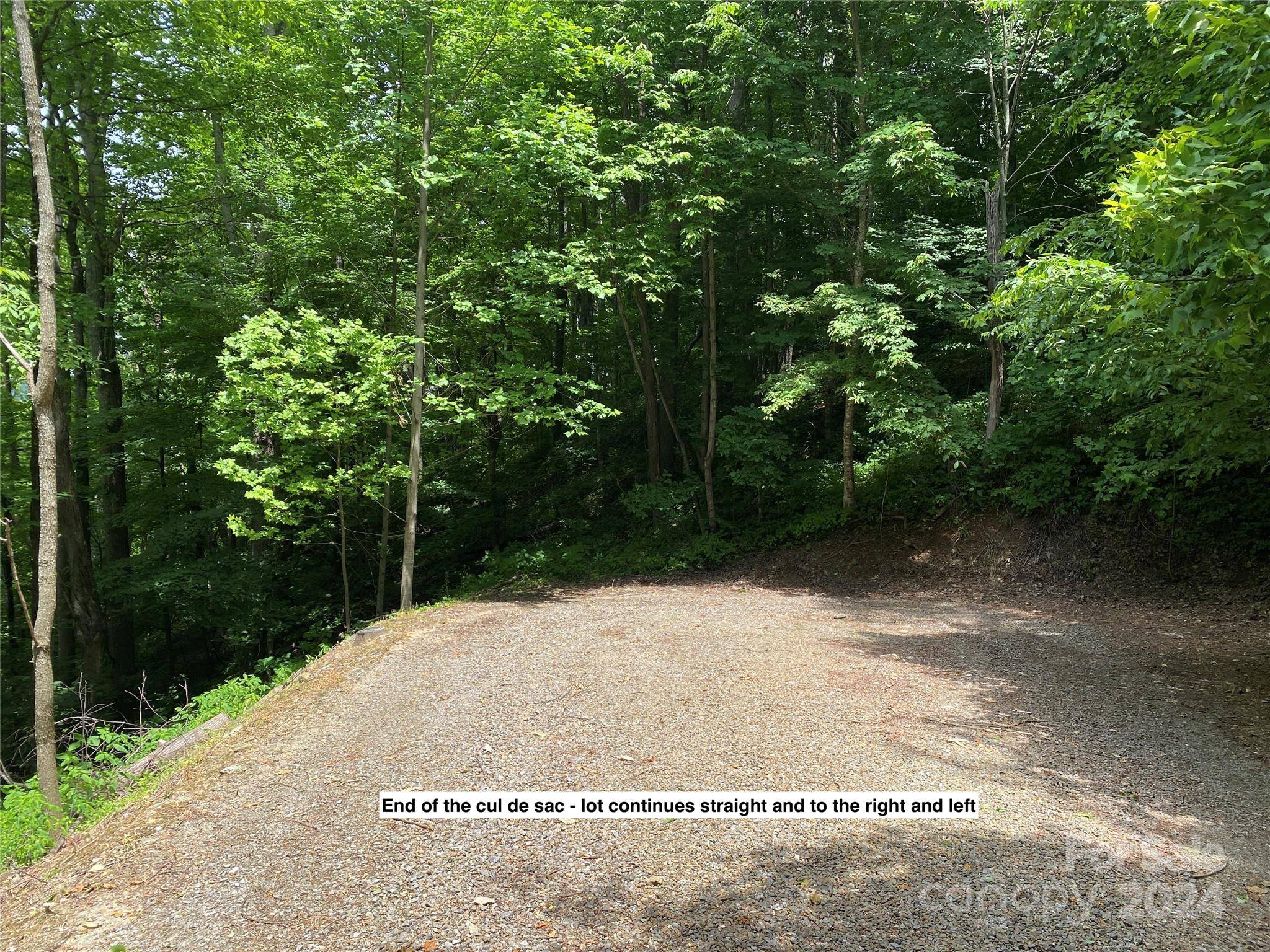 Waynesville, NC 28785,LOT 524 Curry Comb TRL