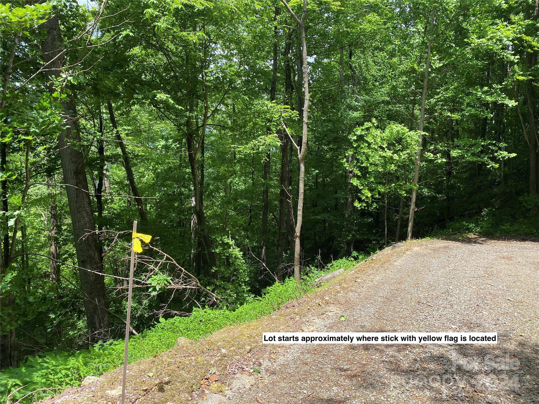 Waynesville, NC 28785,LOT 524 Curry Comb TRL