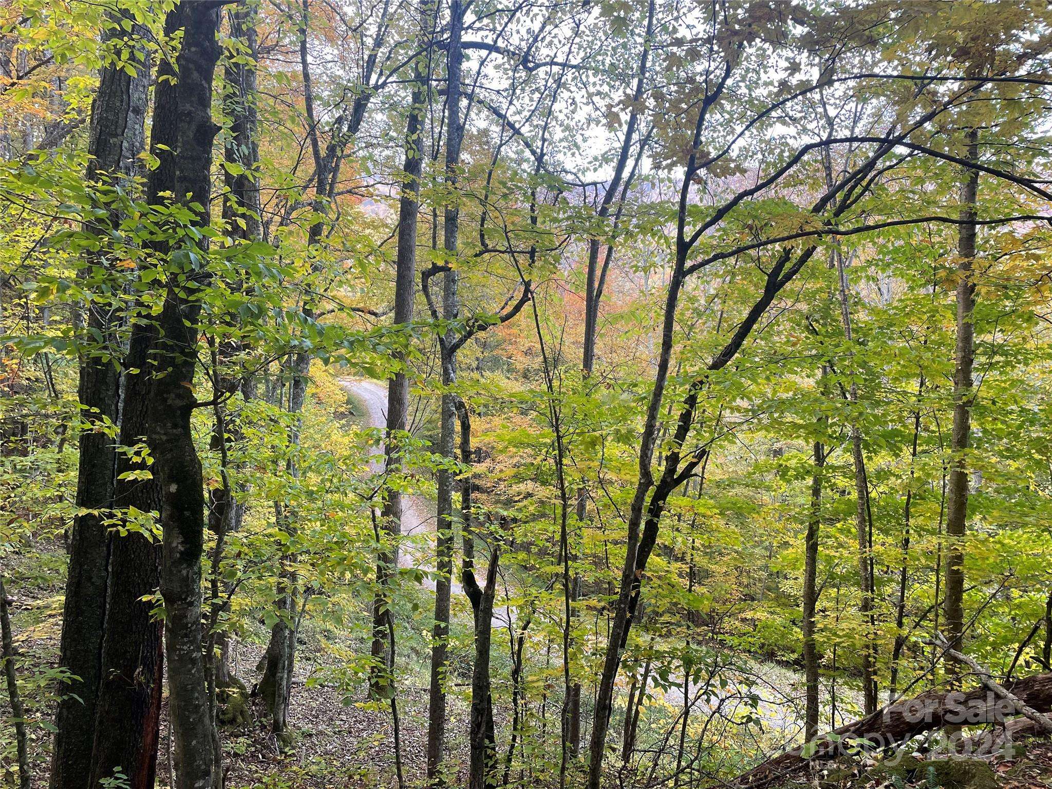 Mars Hill, NC 28754,96 Chestnut LN #96