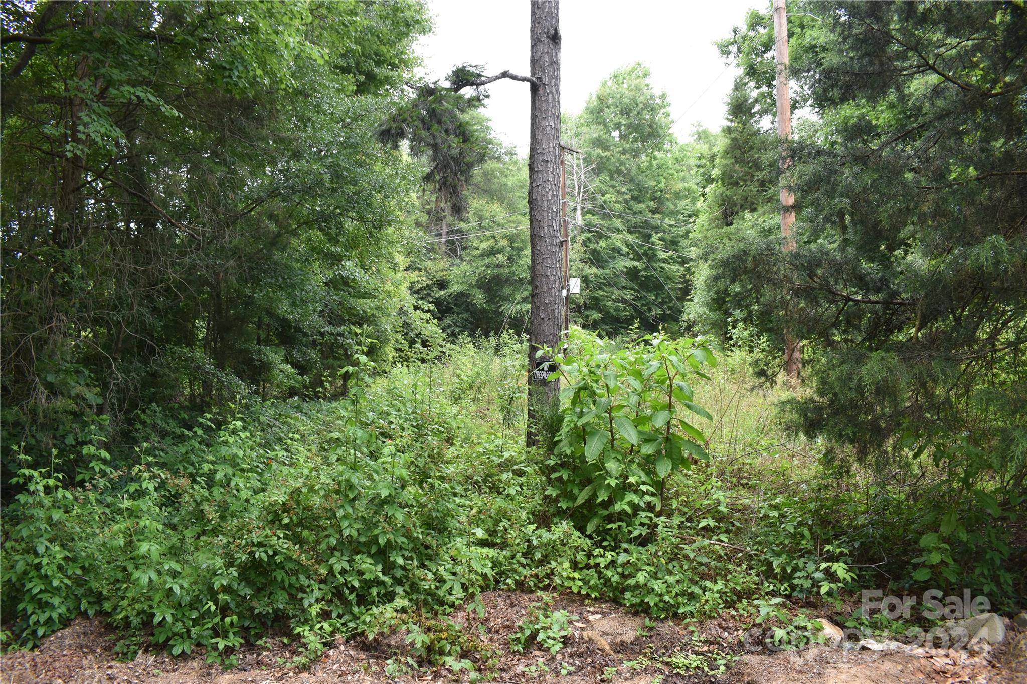 Lincolnton, NC 28092,1690 Roseland DR