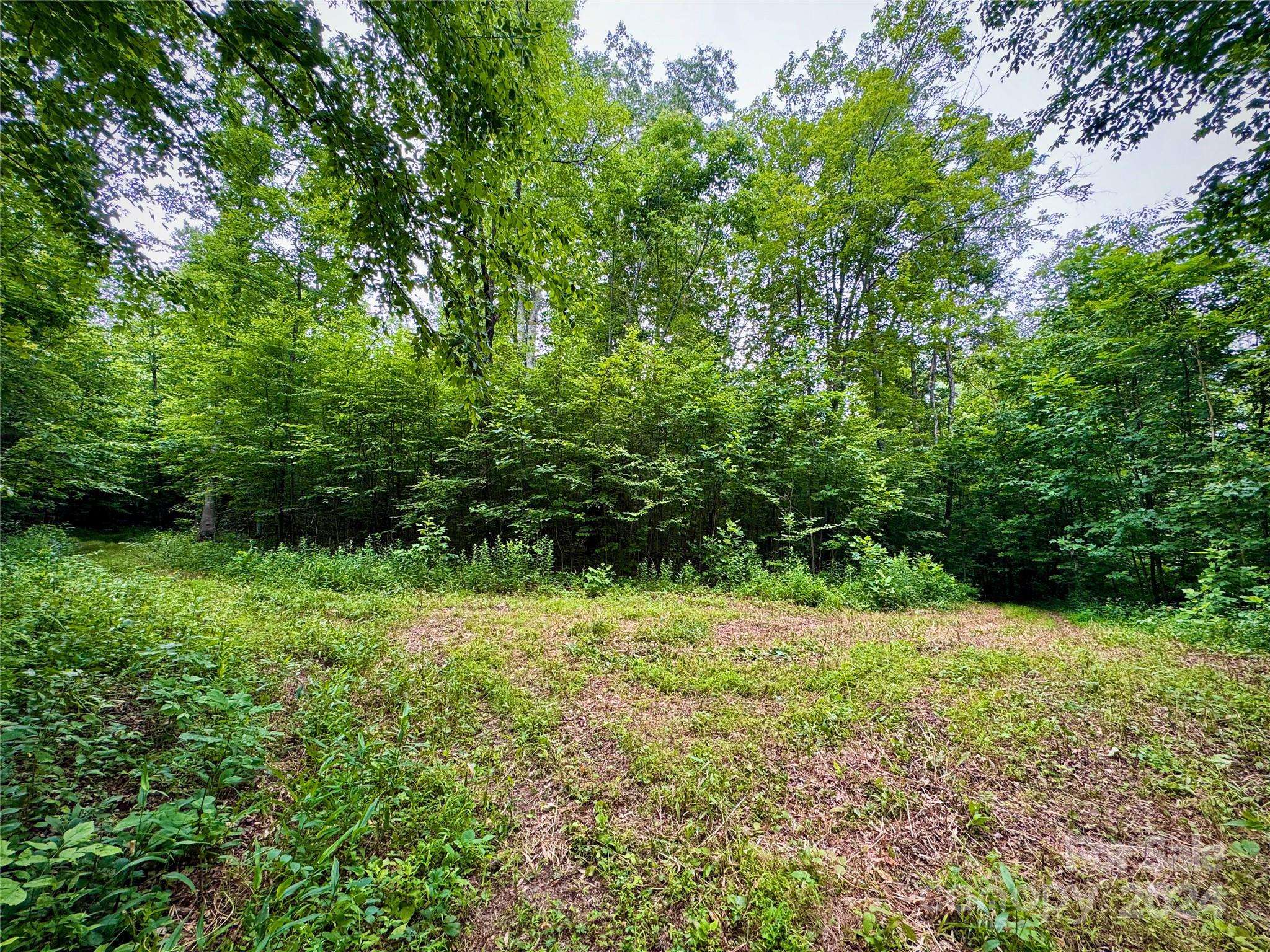 Hendersonville, NC 28792,632 Justus Case Mountain PL