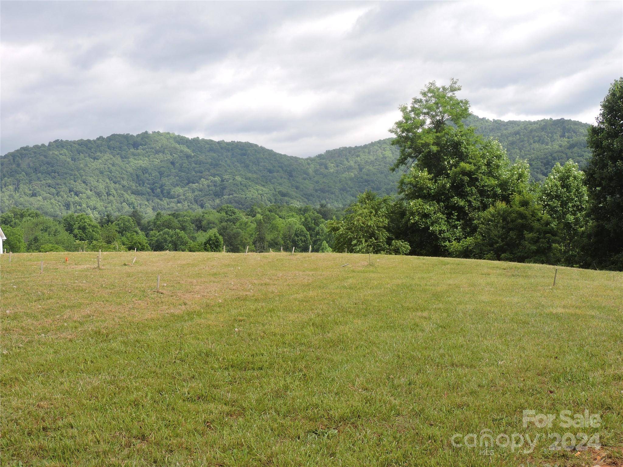 Mars Hill, NC 28754,60 Gins LN #lot 9