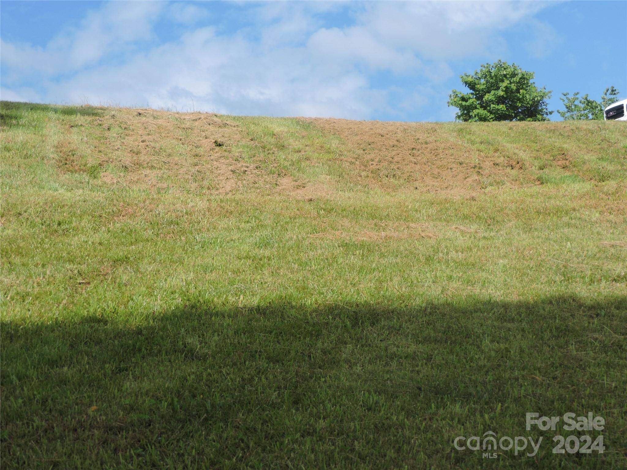 Mars Hill, NC 28754,60 Gins LN #lot 11