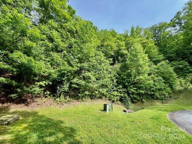 Hendersonville, NC 28739,271 Mountain Morning LN #41